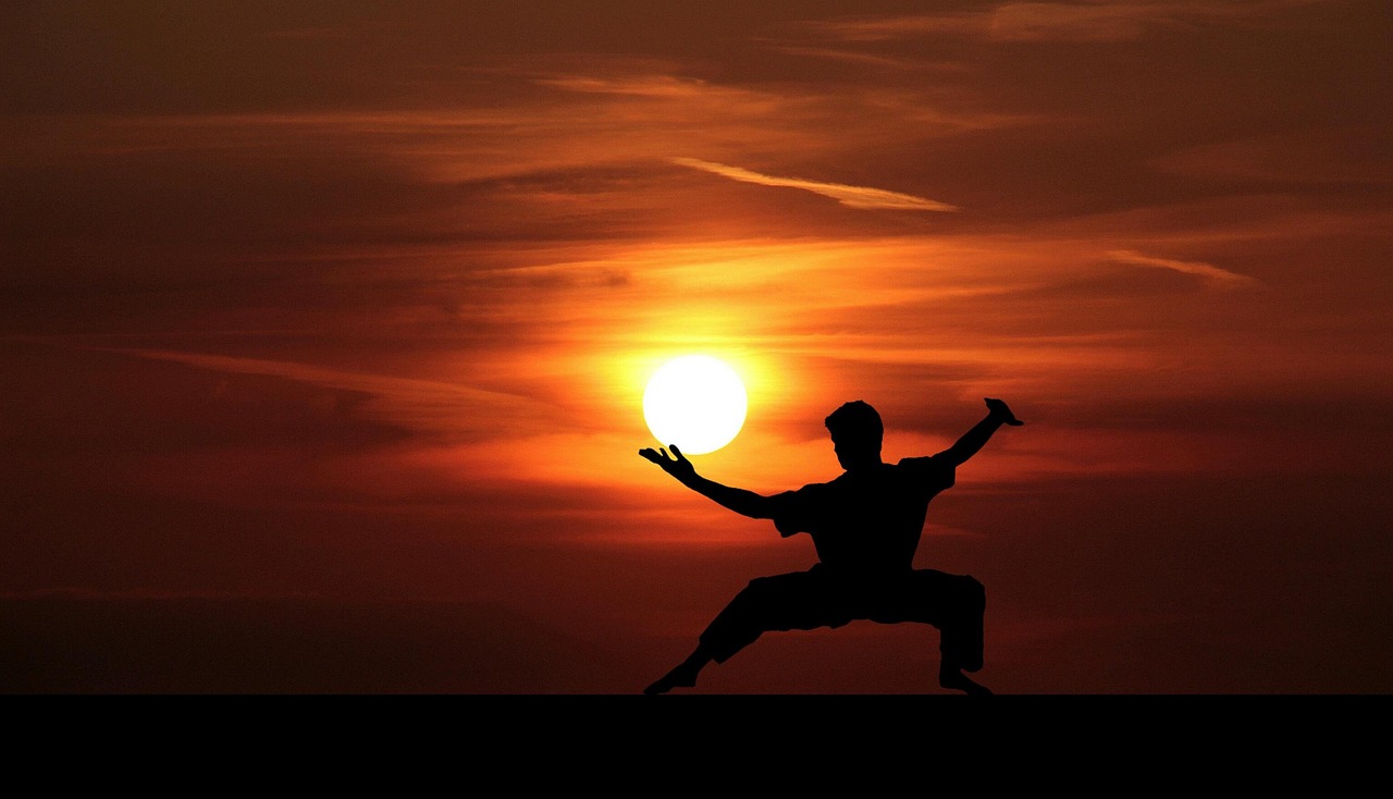 fu, kung, kungfu, master, silhouette, martial, china, art, mental, japanese, sun, sunset, nature, warrior, action, active, aerobic, body, chi, cloudy, combat, demonstration, exercise, fight, fighter, sport