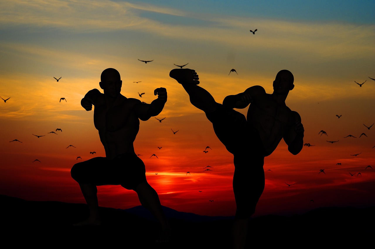 sunset, men, silhouettes, karate, fighters, training, martial arts, birds, flying, nature, sky, colors, landscape