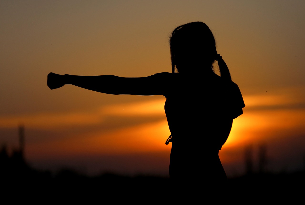 karate, sunset, fight, sports, silhouette, resistance, samurai, fit, girl, self-defense, defense, fist, brown sunset, nature, brown sports
